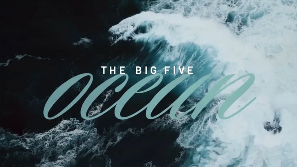 An illustration representing the Big Five personality traits (Openness, Conscientiousness, Extraversion, Agreeableness, Neuroticism) often called the OCEAN model, with abstract or thematic visual cues.